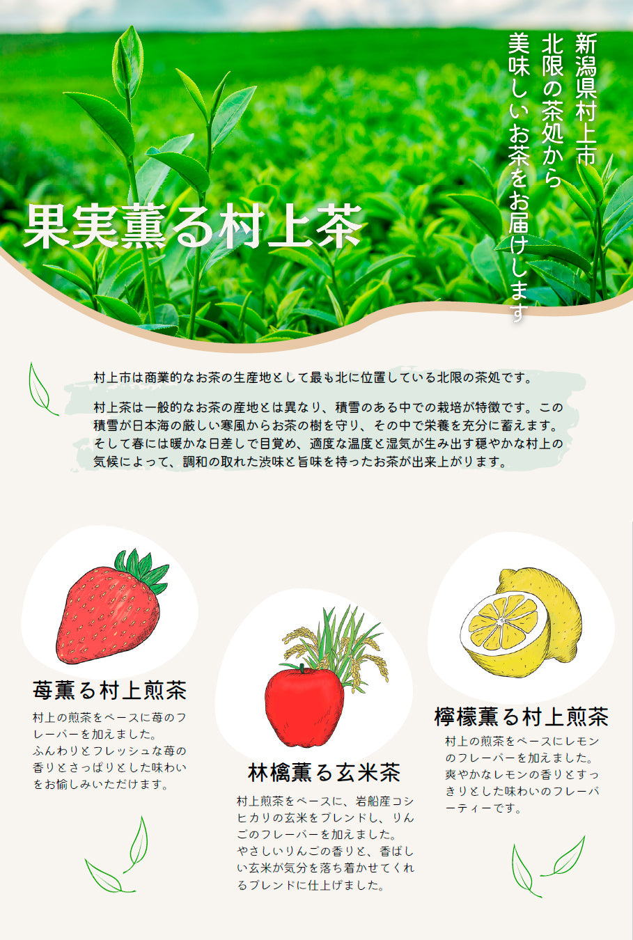 林檎薫る 玄米茶 / 村上茶