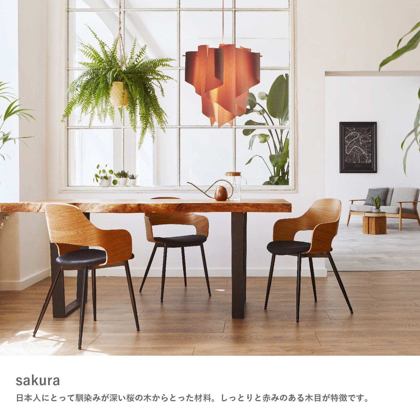 Auro（アウロ） ペンダントランプ sakura  DI CLASSE（ディクラッセ） ＜ラッピング対象外＞