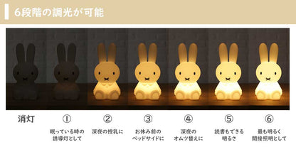 ファーストライト ミッフィー＆フレンズ【ミッフィー/ボリス/スナッフィー/ライオン】全4種