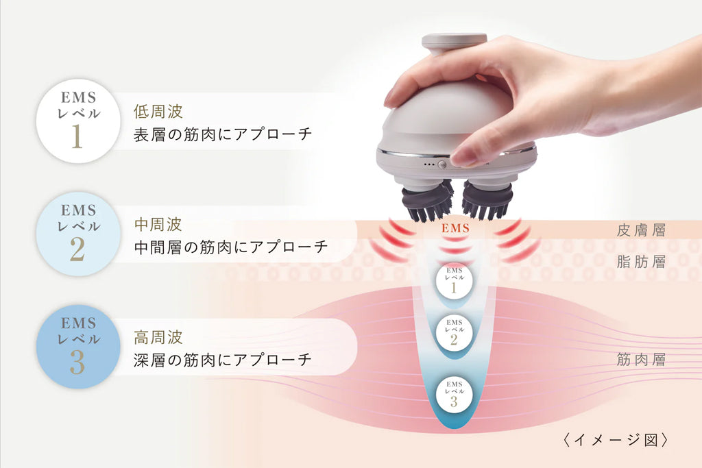 FESTINO（フェスティノ） 充電式 EMS ヘッドスパ プレミア SMHB-044