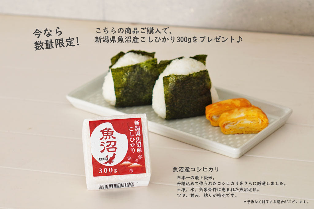 【購入プレゼント特典＊魚沼産こしひかり】HARIO フタがガラスのIH対応ご飯釜 雪平