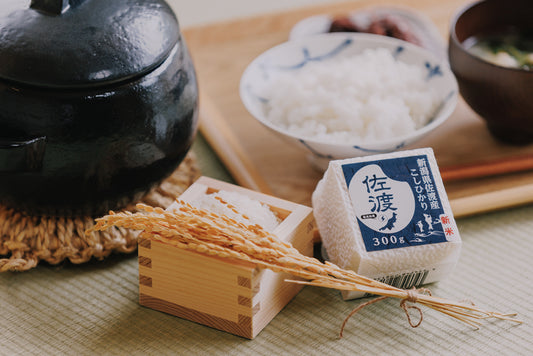 【令和8年度産＊新米】 佐渡産こしひかり 300g (2合）