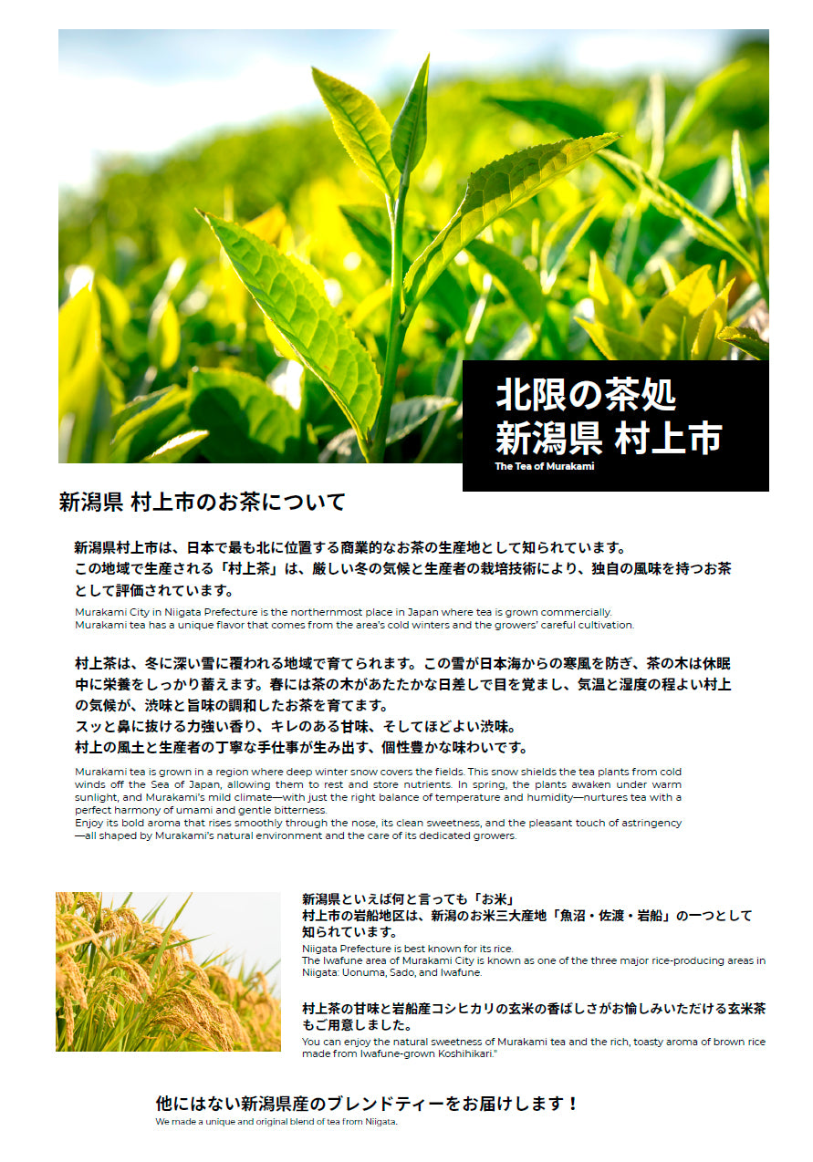 林檎薫る 玄米茶 / 村上茶