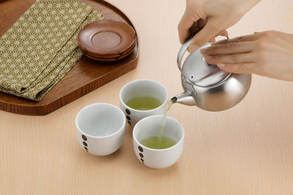 茶考具 急須 茶こし付き ステンレス製 日本製