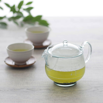 茶考具 割れにくいティーポット 500ml 日本製